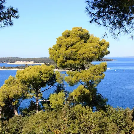 With Parking Space Stinjan, - 22939 Apartamento